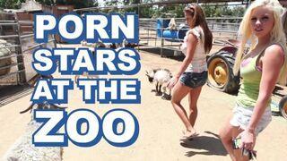 Geile Pornostars stürmen den Zoo und vögeln den Tierpfleger